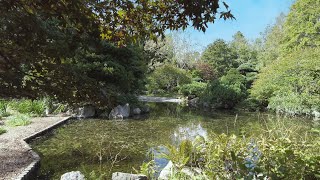 [4K]Japan Hokkaido Sapporo Toyohira Ward Toyohira Park Walking Sep. 2022[Binaural Audio]