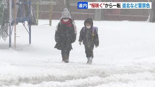 桜の開花から一転、季節は冬に逆戻り　枝幸町では一面銀世界、札幌も山沿いでは積雪が続く恐れ