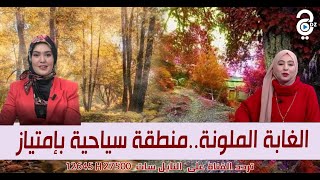 تعرف في فقرة تحويسة على \