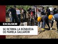 Nueva jornada de búsqueda por Pamela Gallardo en zona del Ajusco