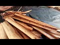 සල්ලි ගහ processing unit of ceylon cinnamon cinnamon stick processing meetiyagoda sri lanka