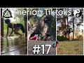 Therian Tiktoks #17