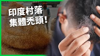 一個月內村民集體禿頭！印度村落恐慌「禿頭之謎」？中毒原因竟是每天在吃的小麥？ 【TODAY 看世界】