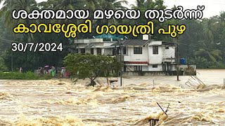 ശക്തമായ മഴയിൽ കാവശ്ശേതി ഗായത്രി പുഴ കരകവിഞ്ഞൊഴുകുന്നു #kavassery #puzha #alathur #palakkad