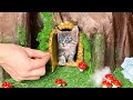 Rescue the TINIEST KITTEN in the World😱 *DIY Kitten House and Makeover*