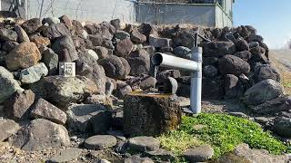 【ひゃっこい！湧水（97）】浮島ひまわりらんどの裏手にある湧水（沼津市平沼）その02