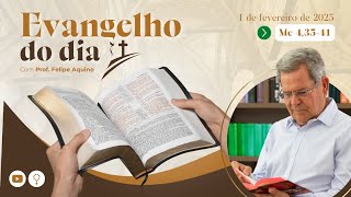 EVANGELHO DE 01.02.2025 - MC 4,35-41 - JESUS ACALMA O MAR E O VENTO