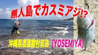 無人島のどシャローでTOPカスミアジ!? [沖縄 ルアー] YOSEMIYA