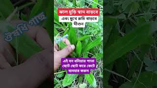 #trendingshorts #shortvideo #viralvideo #ভিডিওটি ভিডিওটি ভালো লাগলে চ্যানেলটি সাবস্ক্রাইব করুন