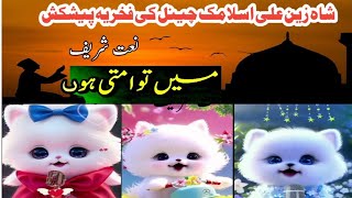Main Tu Ummati Hon|Billi Naat| cute cat|ShahZainAli Islamic channel