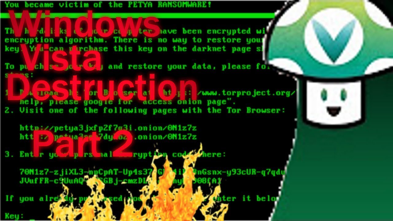 Vinesauce Joel Windows Destruction At Bruce Green Blog