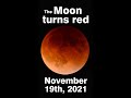 See the lunar eclipse November 19th, 2021! #shorts