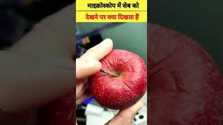 माइक्रोस्कोप के अंदर सेब को देखना #fact #short bugs on apple under microscope