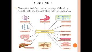 Pharmacokinetics Part 1