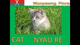 Wunpawng Pinra 56K28#laika hkum6#reading #kachin #jinghpaw #learning