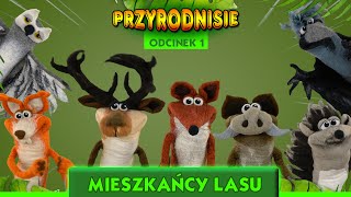 PRZYRODNISIE odcinek 1 - Mieszkańcy lasu