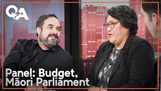Panel: Budget politics, separate Māori Parliament, protest hīkoi | Q+A 2024