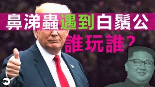 【九鼎茶居】鼻涕蟲遇到白鬚公，誰玩誰？