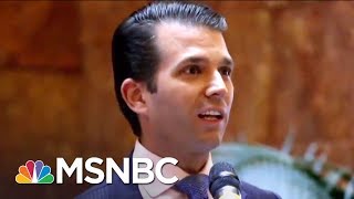 Democrats Want More Answers From Donald Trump Jr. On Russia | The 11th Hour | MSNBC