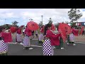 舞っちゃげ祭 19 西パレード yosakoi八千代翼塾 炎（ほむら）