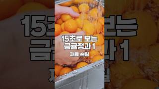 15초로 보는 금귤정과 만들기1(손질) - 한식디저트 제조 과정