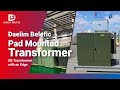 Daelim Belefic Pad Mounted Transformer | Daelim Transformer