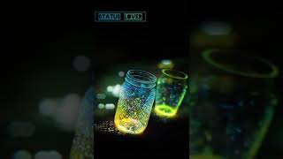 WhatsApp status | old is gold | status lover |