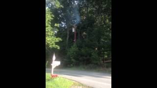 Power wires burn tree