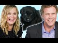 Amy Poehler & Will Ferrell Play With Puppies (While Answering Fan Questions)