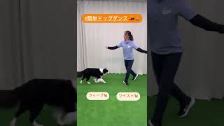 #簡単ドッグダンス 💃🐕 ドッグダンス dog  dance☆ウィジードッグクラブ☆