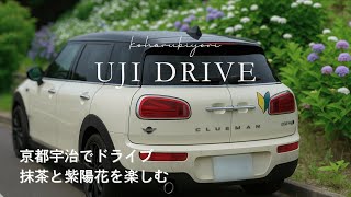 【Vlog】宇治ドライブ🍵｜抹茶と紫陽花を楽しんだ初夏の休日☂️🚗