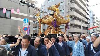 亀戸天神社例大祭！８年ぶりの神社神輿渡御祭 緑四丁目 #亀戸天神社  #例大祭 #神輿