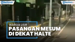 Mxtube Net Mesum Di Bus Jalan Mp4 3gp Video Mp3 Download Unlimited Videos Download
