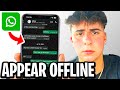 How To Appear Offline On WhatsApp (Even If Online) - Fastest Guide