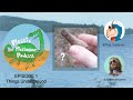 Bigfoot's Fingerbone? - Plastic Plesiosaur Podcast Episode 1