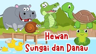 Dunia Hewan Air: Mengenal Nama Hewan di Sungai dan Danau | Hewan Air Tawar