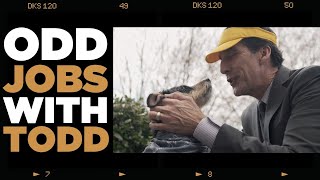 Odd Jobs with Todd Episode One: Dog Walker