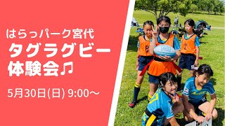 タグラグビー体験会！inはらっパーク♪