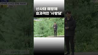 [이슈 직진] 산사태 예방에 효과적인 '사방댐' #shorts #뉴스7 | MBN 230718 방송