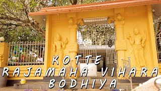 Kotte Rajamaha Bodhiya - Travel Sri Lanka