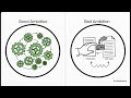 CHAPTER 10: Transition Planning & Carbon Reporting