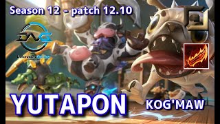 【JPサーバー/D1】DFM Yutapon コグマウ(Kog'maw) VS アフェリオス(Aphelios) BOT - Patch12.10 JP Ranked【LoL】