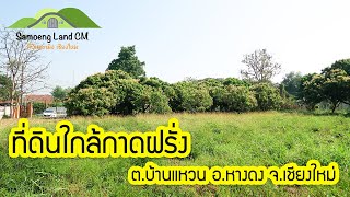 (ขาดการติดต่อ) ที่ดินใกล้กาดฝรั่ง 1 ไร่ 3 งาน | Horm Nuan Estate EP.15