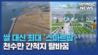 '쌀 대신 스마트팜' 천수만 간척지 탈바꿈/대전MBC