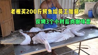 老板花6500元买一条200斤鳄鱼，给员工加餐，烤3个小时后肉嫩味香