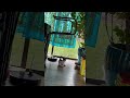 Robot Vacuum Doubles as Kitten Babysitter || ViralHog
