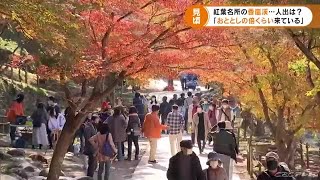 愛知屈指の“紅葉の名所”香嵐渓４０００本が見頃　リバウンド観光客で賑わう (21/11/17 20:14)