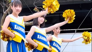 横　チアダンスRAINBOW鳥取 ⑩ かくれんぼ / AliA 240429 グルメ\u0026音楽 春フェス/ 鳥取風紋広場