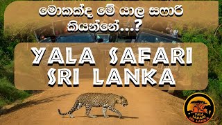 Yala Safari Sri Lanka | මොකක්ද මේ යාල සෆාරි කියන්නේ..?