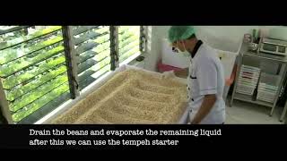 the easy way to make tempeh with tempeh starter